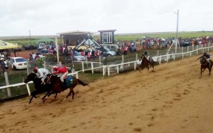 Lady Budapest thumps them again at KMTC