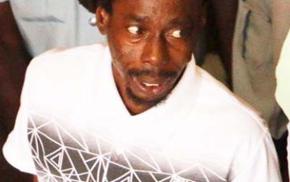 Pork-knocker remanded for illegal ammo, cocaine
