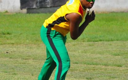 Boyce and Jefford All Stars battle Trophy Stall in 10-over fixture today