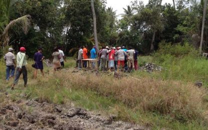 Gruesome find on Black Bush farm… Husband planted bora around wife’s grave