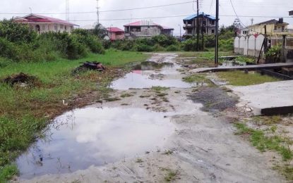 Diamond residents bemoan lack of proper roads for eight years