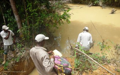 Six Puruni dredges ordered to cease work