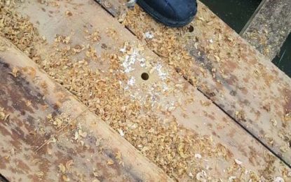 CANU seeks international help in $550M cocaine bust