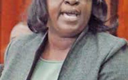 Grove/Diamond development discussed during minister’s visit