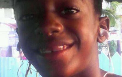 Mystery deepens over boy who vanished while watching cartoons