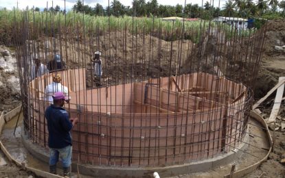 Work continues at Palmyra Monument Site despite questions raised