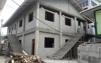 Concerns raised over decision to halt $$M public hospital building