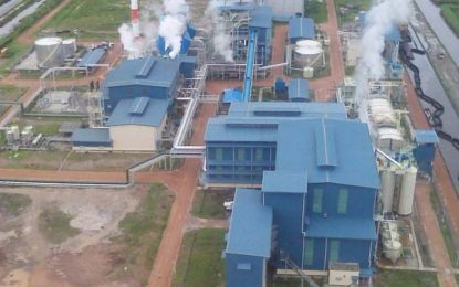 At least 12 expressions of interest in various aspects of GuySuCo