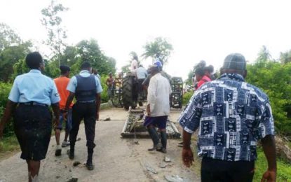 Adelphi farmer crushed after tractor topples