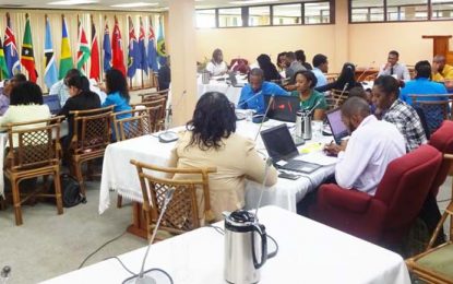Capacity building workshop for CYAs gets underway