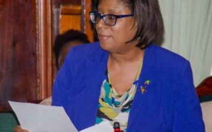 Special agency to adopt NFMU, enforce Telecoms Act