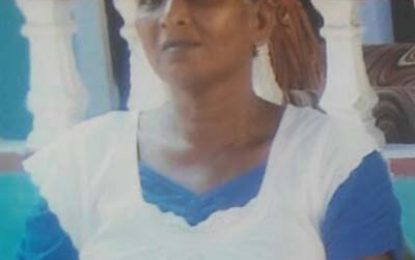 Woman, 62, killed in Meten-Meer-Zorg accident