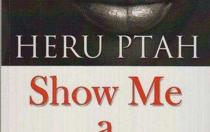 Book review: A novel you hate to love