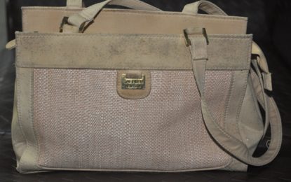 Stolen handbag?
