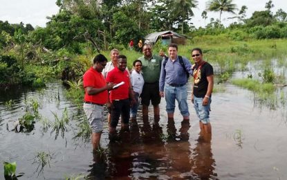 Guyana inches closer to EU deal on timber certification