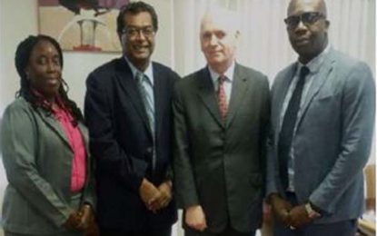 International expert commences study on alternatives to pre-trial detention