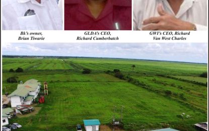 $41.6M Mon Repos well incomplete 5 years later