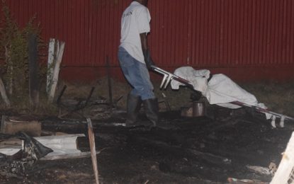 Mother of nine might have set fire deliberately