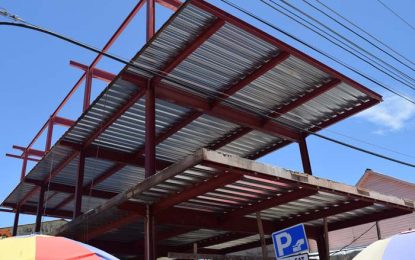 City Hall halts construction