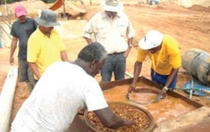 Don’t forsake mining sector for oil
