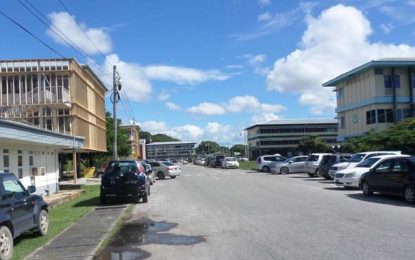 UG benefits from over $90M in support– Vice Chancellor