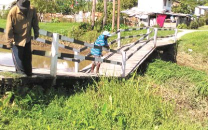 Belle Vue bridge collapses after canal clearing operation