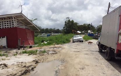 Temporary works done to reinforce Charity river dam