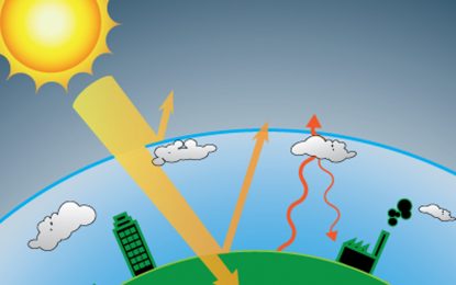 Govt, Global Network join forces to host crucial climate change workshop