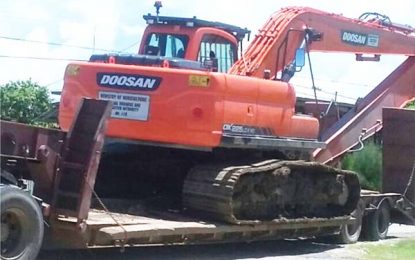 Equipment, pumps rushed to affected Berbice areas as…Cattle marooned in flood waters