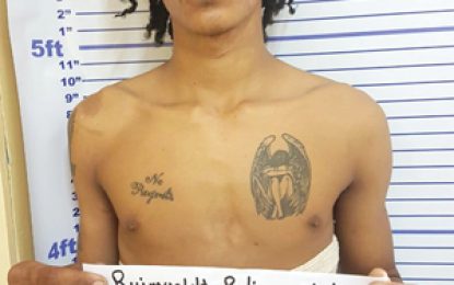 Shot Hospital escapee found hiding in barrel