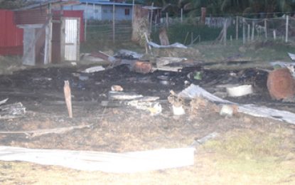 Mother of nine perishes in Enterprise blaze