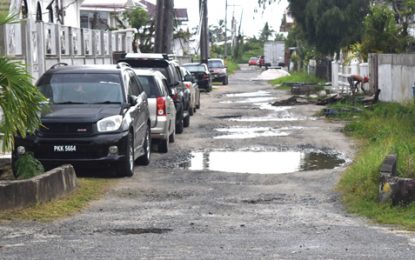 Deplorable roads plague Cummings Lodge