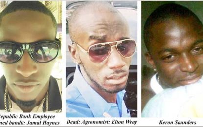 “Hold! She is not here” – inside staffer texted bank bandits