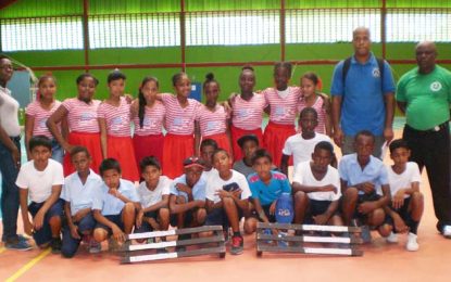 Saint Mary’s boys and Eccles girls’ record wins in latest Windball Cricket