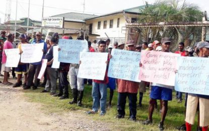 Albion cane cutters picket Estate’s Admin Office