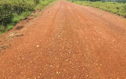 Soldiers find illegal airstrip near Lethem