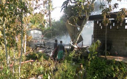 Bush medicine man loses home in Blue Berry Hill fire