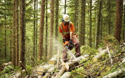 2017 growth rate revised downward