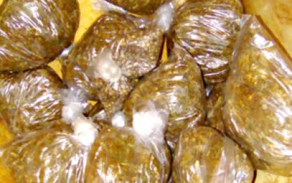 Coke, ganja found in businessman’s chicken pen