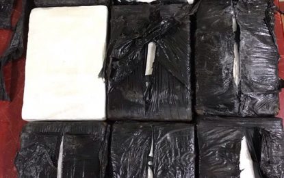 Teens arrested after coke found stashed in gas cylinder