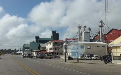 ‘Karibee’ owners make bid for Skeldon estate