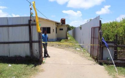 Peacemaker fatally stabbed at BBQ