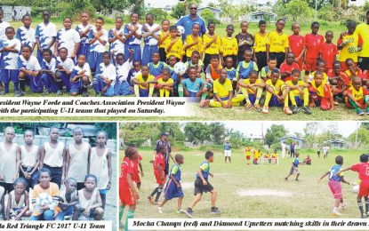 EBFA/Ralph Green U-11 League… Agricola, Grove and Samatta Point/ Kaneville take full points in latest play