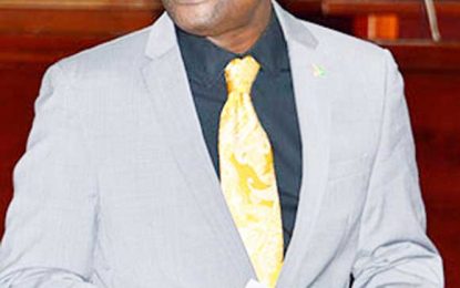 IDB did not fund feasibility study for new Dem. Bridge – Minister David Patterson