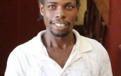 Caretaker jailed for damaging Minister Harmon’s  property