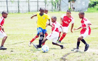 EBFA Ralph Green U-11 League…Defending champs Agricola starts on winning note; Grove and Diamond Utd. motors on