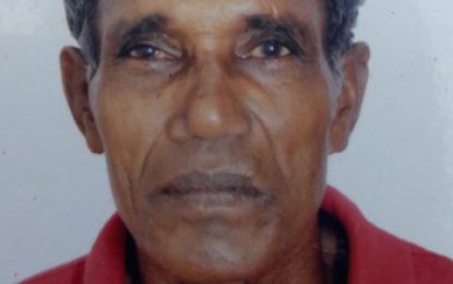 Tain pensioner killed; driver flees