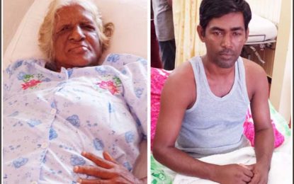 Woman, 87, amongst victims of Pomona bee attack