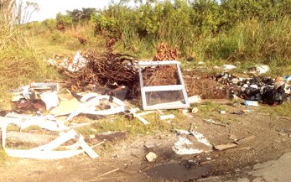 Residents near Le Repentir Cemetery worry about health, safety