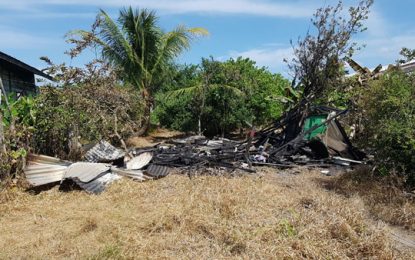 Woman allegedly burns ex-partner’s home over child support